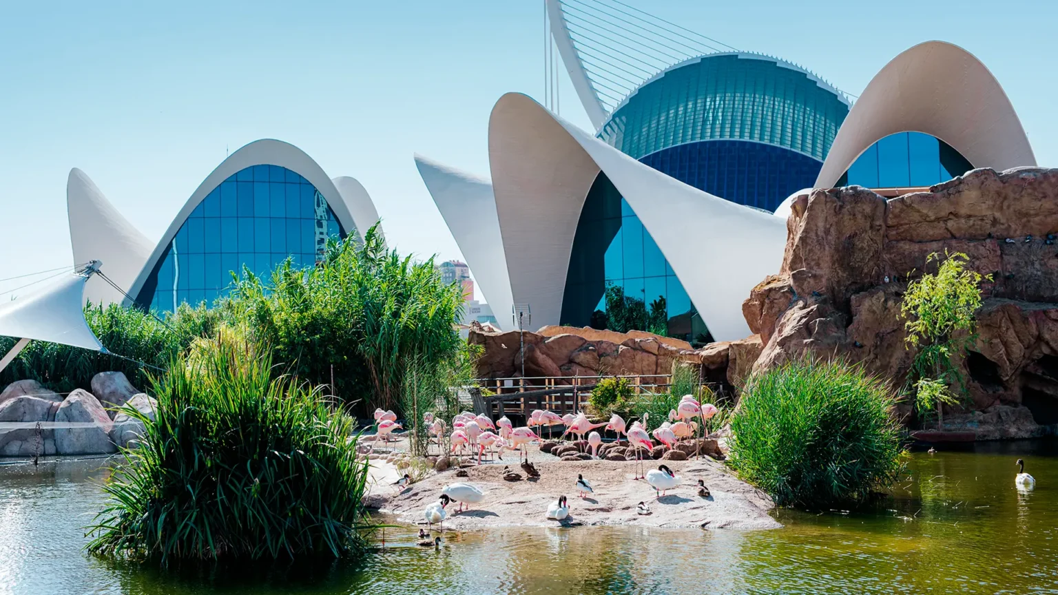 L’Oceanogràfic de Valencia, una de las nueve paradas del tour veterinario de Zoetis