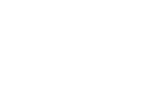 endesa